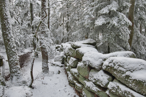 Heidenmauer Weg am Mont Saint Odile in den Vogesen photo