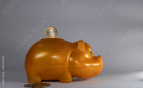 golden color plastic made hippo bank and coins