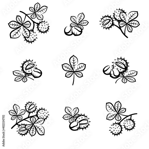 Chestnut set. Collection icon chestnut. Vector