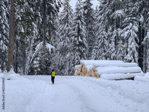 Winter in Hinterzarten im Schwarzwald photo