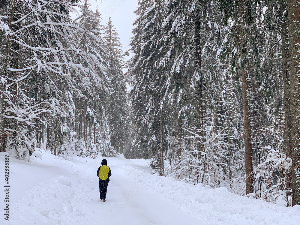Winter in Hinterzarten im Schwarzwald