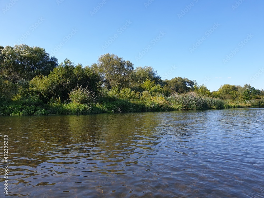 Pilica River  in summertime Sulejów, Poland - obrazy, fototapety, plakaty 