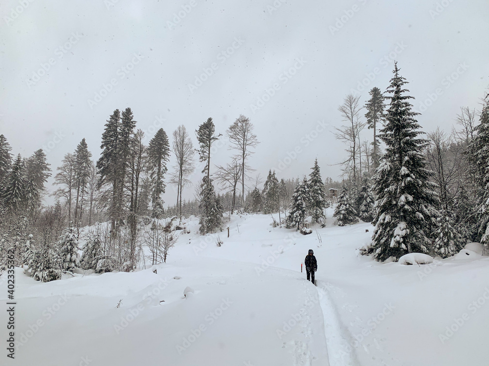 Winter in Hinterzarten im Schwarzwald Winter in Hinterzarten im Schwarzwald