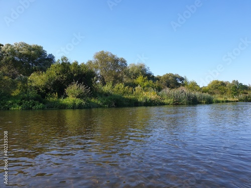 Pilica River in summertime Sulejów, Poland