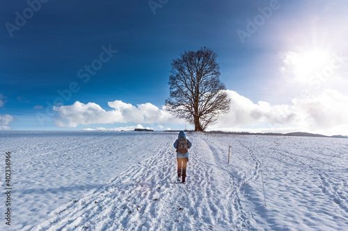 Frau wandert im Winter  zu einem Baum