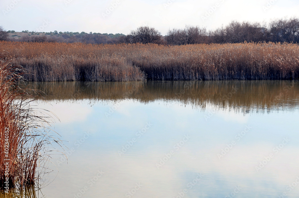 Reflejos  en el agua del Parque de Tablas de Daimiel