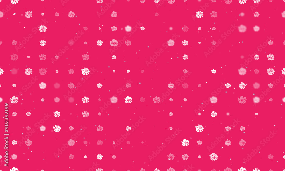 Seamless background pattern of evenly spaced white roses of different sizes and opacity. Vector illustration on pink background with stars