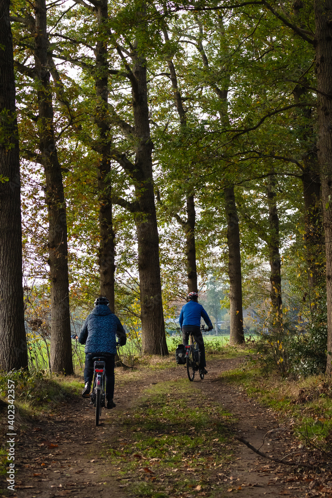 2 cyclists on a path between the trees in the countryside with the soft light shining through the tree trunks.