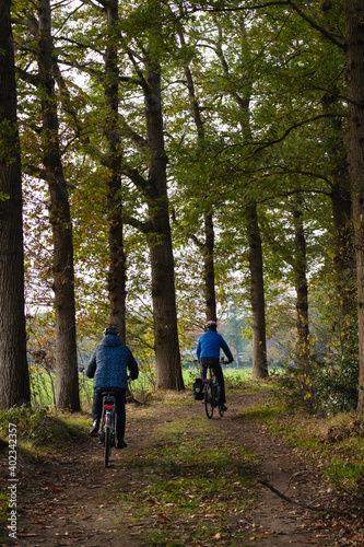 2 cyclists on a path between the trees in the countryside with the soft light shining through the tree trunks.