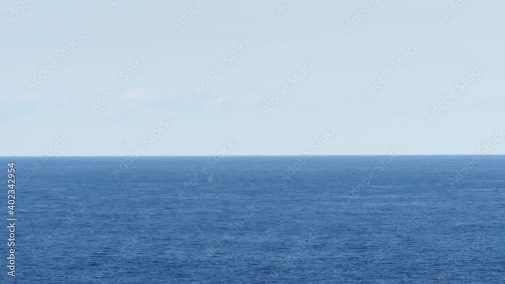Calm Blue Ocean With Distant Swimming Whale Blow During Summer. - Wide Shot Calm Blue Ocean With Distant Swimming Whale Blow During Summer. - Wide Shot