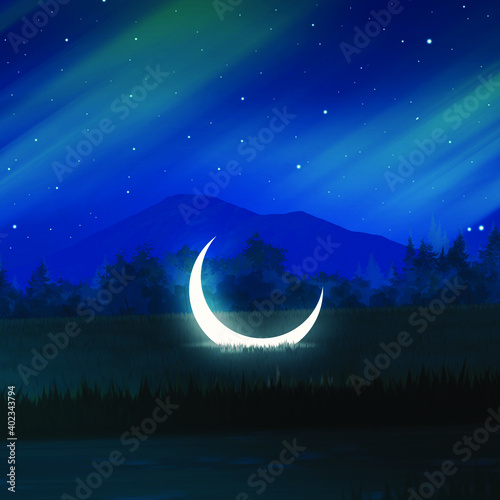 night sky with moon