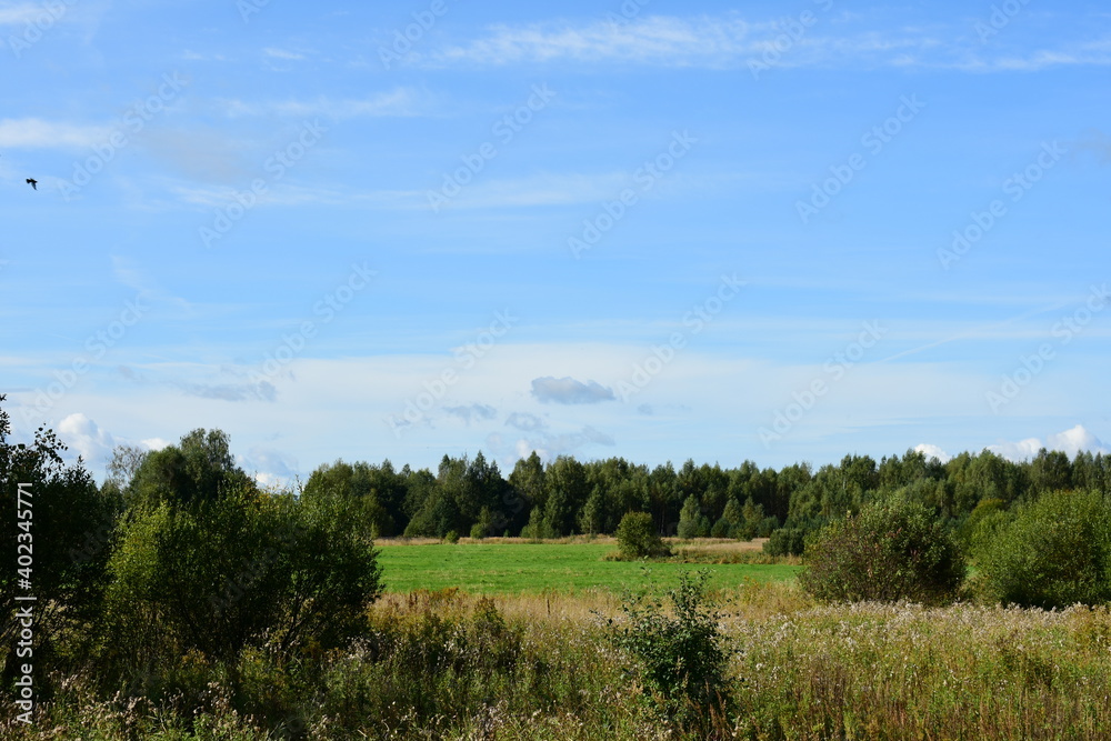 landscape with trees landscape with trees