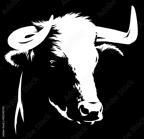 black and white linear paint draw bull illustration art