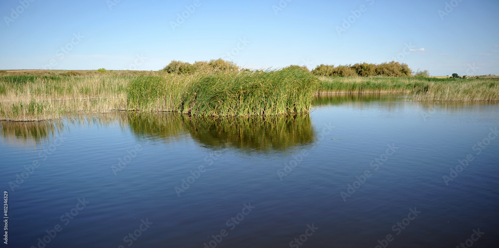 Lagoons in Tablas de Daimiel National Park, Biosphere Reserve since 1981, Castilla la Mancha, Spain