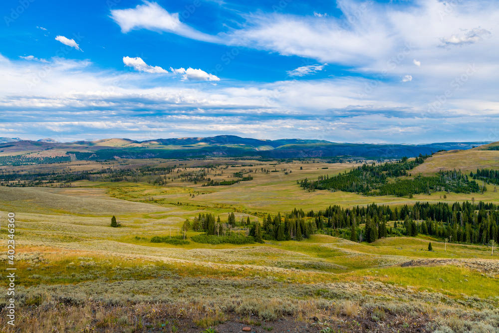 Yellowstone plain view