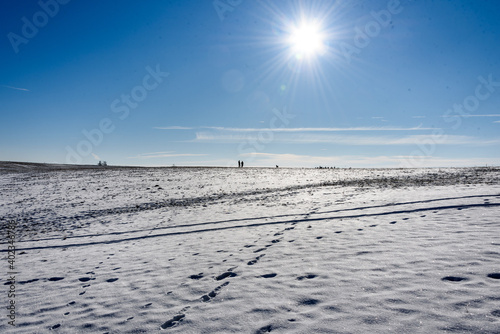 Winterspaziergang im Thüringer Wald photo