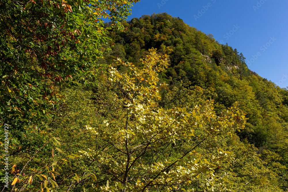 Foothill landscape on a Sunny autumn day, a place to relax and walk in nature. Foothill landscape on a Sunny autumn day, a place to relax and walk in nature.