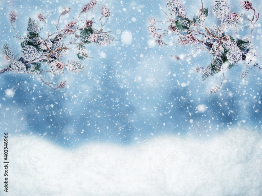 winter background with fir branches cones and snow