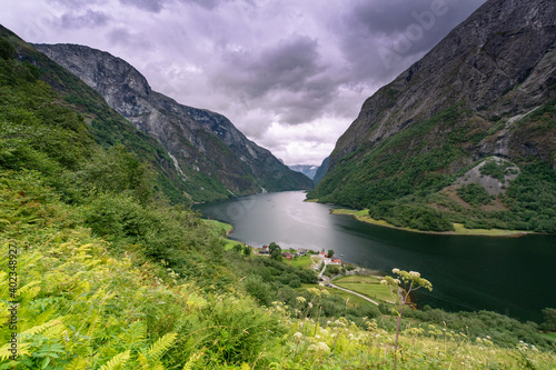 Aerial view of a beautiful Norwegian fjord, the Sognefjord photo