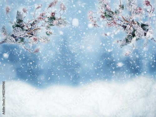 Obraz na płótnie winter background with fir branches cones and snow w salonie
