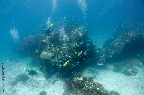 Group of divers over the ocean floor reef boulders