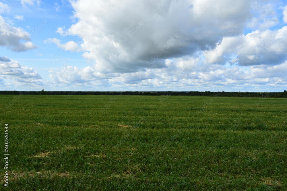 green field and sky