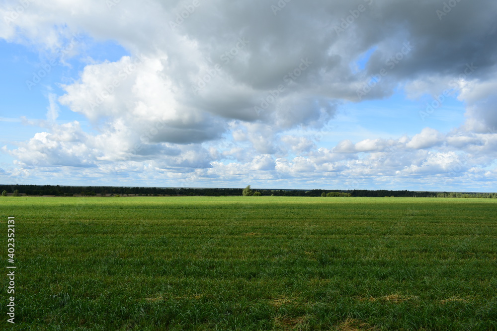 field and blue sky field and blue sky