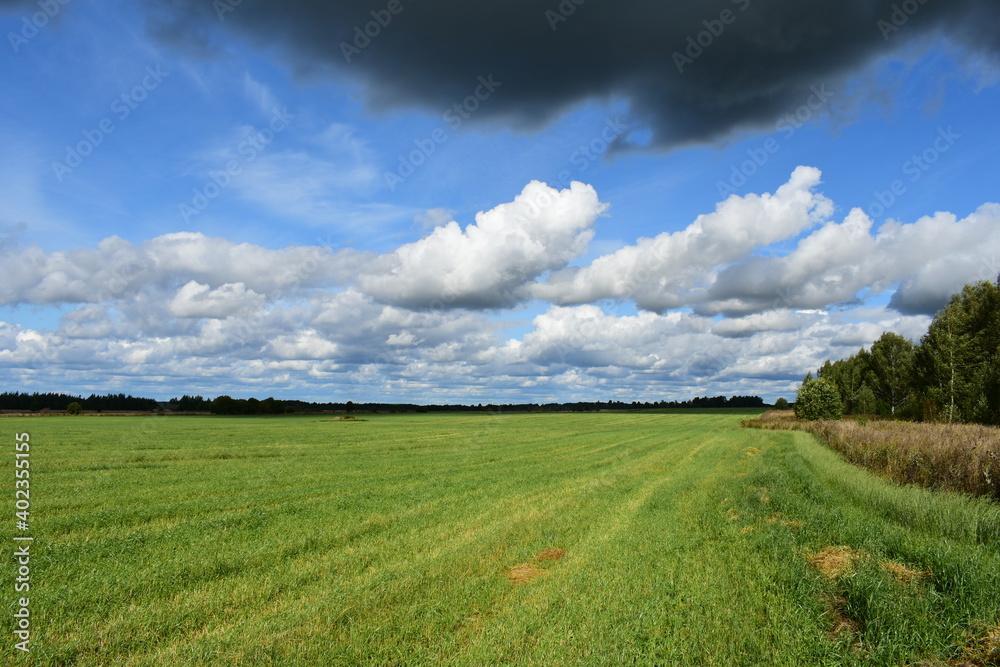Obraz premium green field and sky