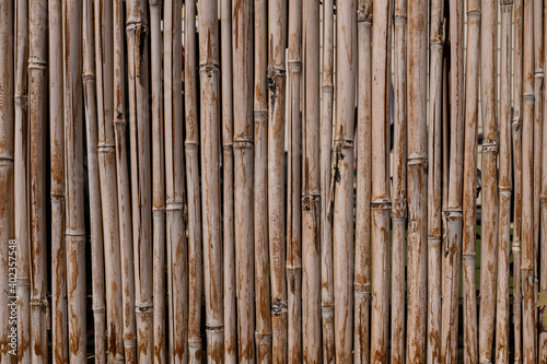 Natural organic bamboo wall fence