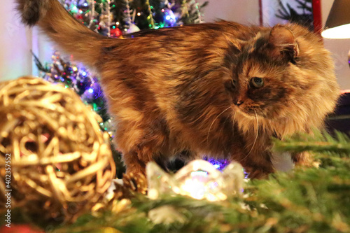 Christmas tree with new year decorations. New Year celebration. Selective soft focus. Background for postcards