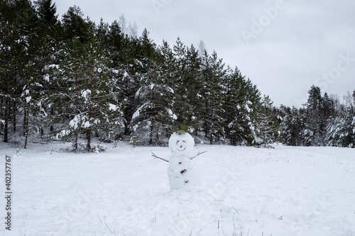 a stately snowman stands in the middle of the forest
