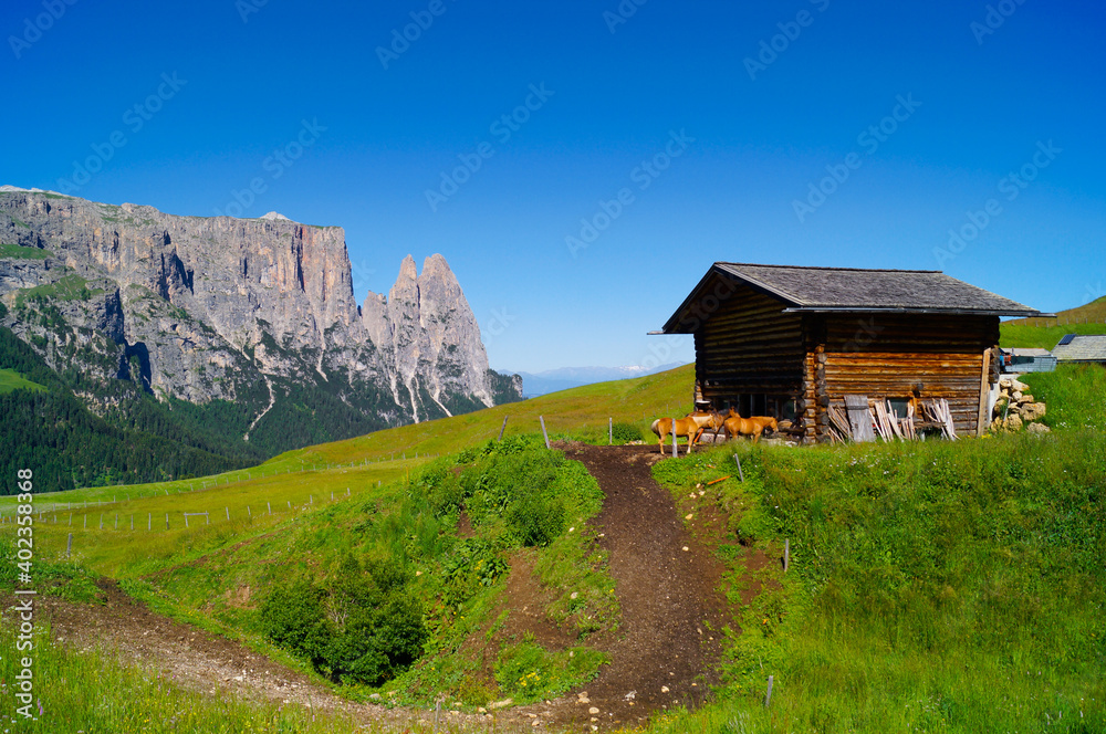 Alpine panorama of Alpe di Siusi showing a wooden horse hut with brown horses and a rough mountain range in the background. Alpine panorama of Alpe di Siusi showing a wooden horse hut with brown horses and a rough mountain range in the background.