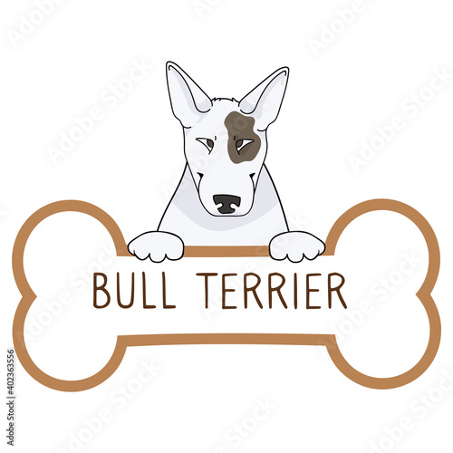 Cute cartoon Bull Terrier on collar dog tag vector clipart. Purebred doggy identification medal for pet id. Domestic dog for pet pooch. 