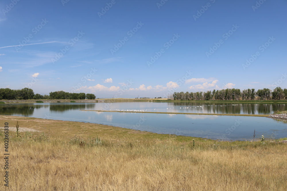 Obraz premium blue lake marsh reflection