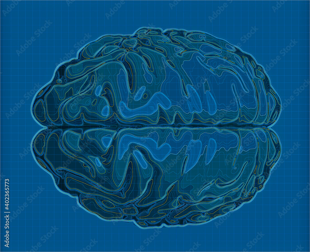 Geographic map of the brain, reworking of the human brain in the form of a map. Concept. CT scan. 3d render. Heights and orography, mountainous reliefs, valleys and terrains of the mind Geographic map of the brain, reworking of the human brain in the form of a map. Concept. CT scan. 3d render. Heights and orography, mountainous reliefs, valleys and terrains of the mind