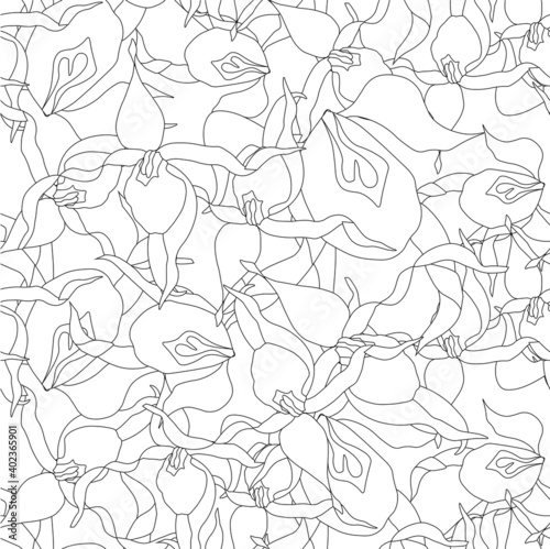 Lady s-slipper orchid monochrome seamless pattern art design elements stock vector illustration for web  for print  for gardening design  for product design  for packing design