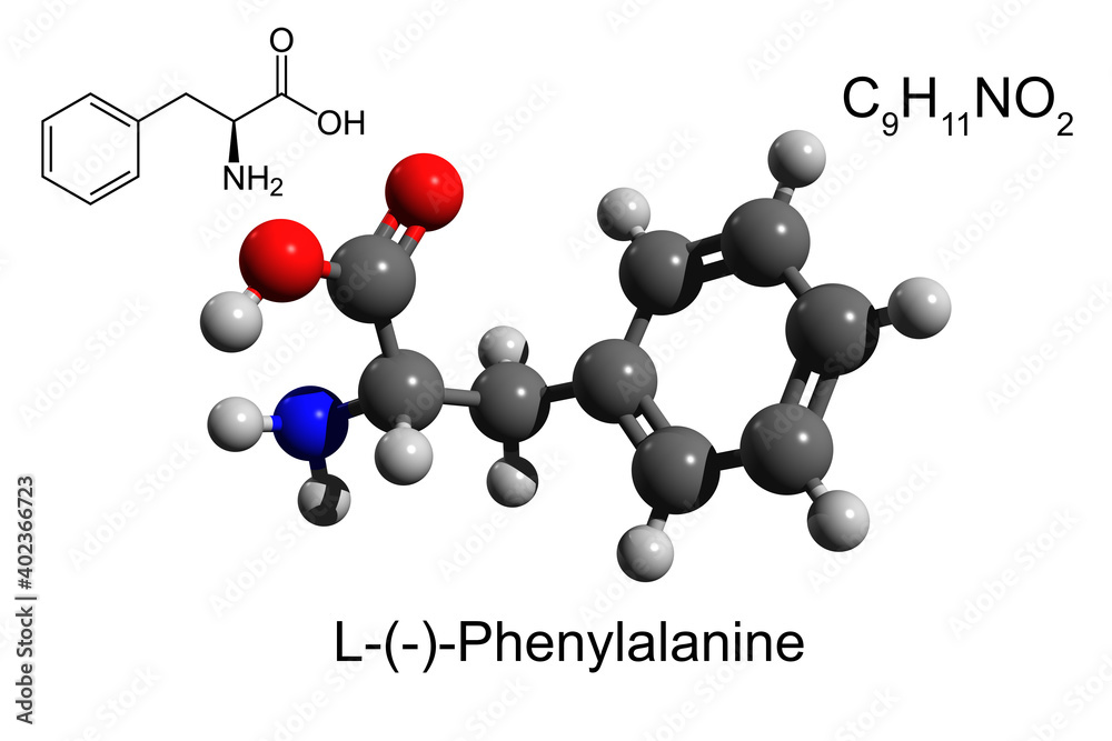 Chemical formula, skeletal formula and 3D ball-and-stick model of L-phenylalanine, an essential amino acid, white background Chemical formula, skeletal formula and 3D ball-and-stick model of L-phenylalanine, an essential amino acid, white background
