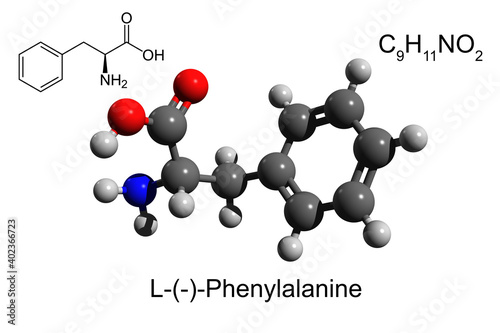 Chemical formula, skeletal formula and 3D ball-and-stick model of L-phenylalanine, an essential amino acid, white background