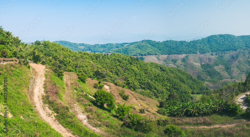 Mountain landscape in North Thailand, tropical Thai nature scenery with organic tea plantation and green natural exotic plants on valley of Doi Mae Salong Mountain, Chiang Rai province of Thailand