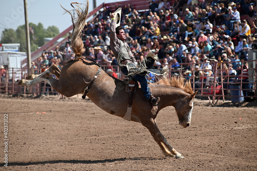Rodeo Cowboy  photo