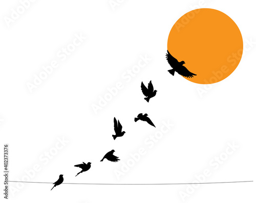 Canvas-taulu Birds on wire and flying birds silhouettes on sunset, vector