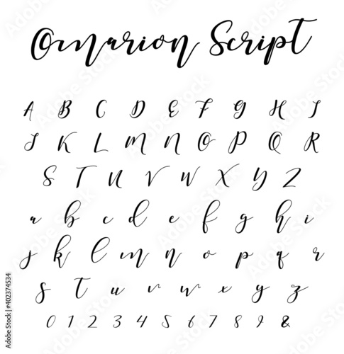 Script Brush Font Cursive Vector Hand-written Alphabet 