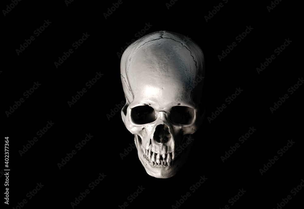 Human skull with an open lower jaw on a Black isolated background. The concept of death, immortality, eternal life, horror. Acult symbol. Spooky Halloween symbol. 3D render Human skull with an open lower jaw on a Black isolated background. The concept of death, immortality, eternal life, horror. Acult symbol. Spooky Halloween symbol. 3D render
