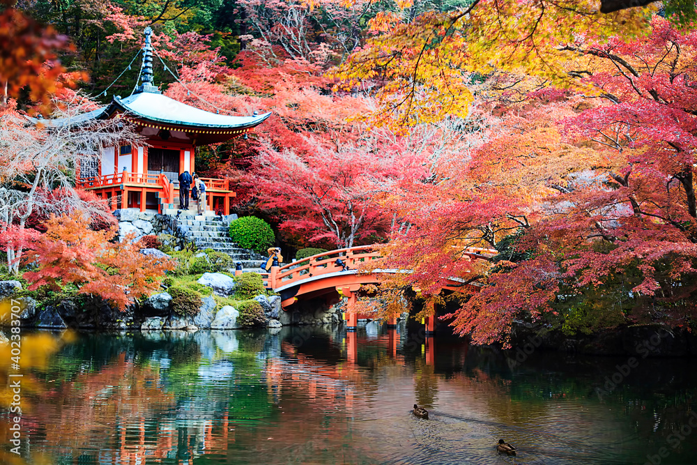 Naklejka premium Japanese Heritage. Serene Famous Daigo-ji Temple During Beautiful Red Maples Autumn Season at Kyoto City in Japan
