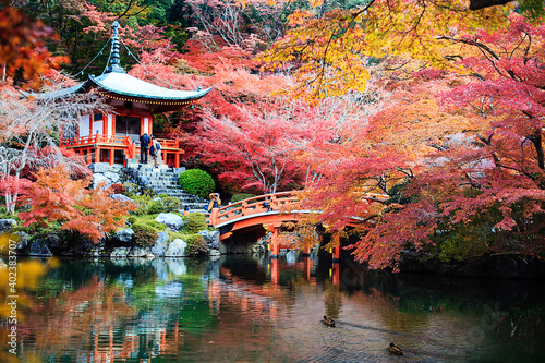 Japanese Heritage. Serene Famous Daigo-ji Temple During Beautiful Red Maples Autumn Season at Kyoto City in Japan photo