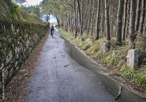 Ciclista en camino asfaltado hacia la playa entre pinos