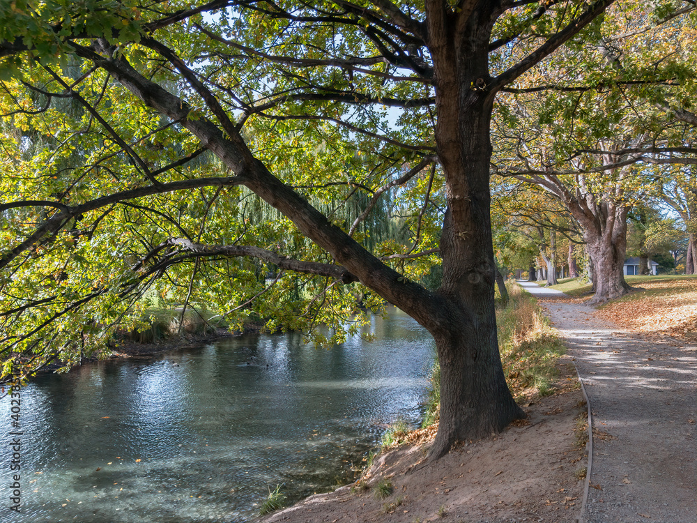 Avon River in Hagley Park, Christchurch, New Zealand Avon River in Hagley Park, Christchurch, New Zealand