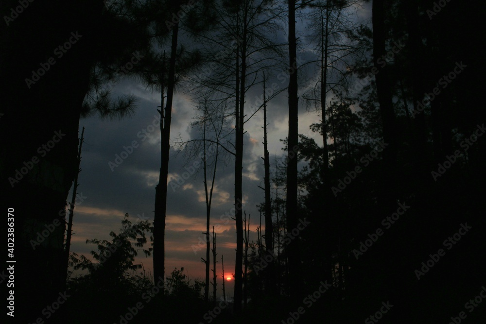 Naklejka premium Wonderful sunrise and silhouette tree in the forest