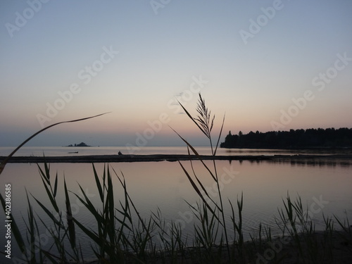 composition of spikelets on the lake in the evening