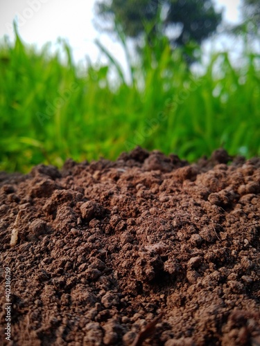 Macro Point View of soil. 